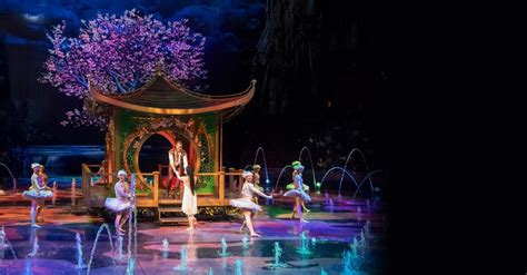 city of dreams macau house of dancing water